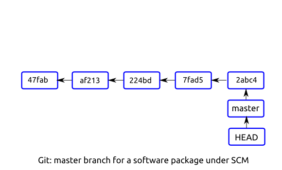 Git: master branch for a software package under source control system