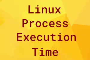 Read more about the article Linux process execution time