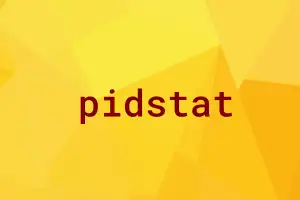 Read more about the article pidstat