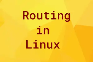 Read more about the article Routing in Linux
