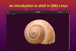 Read more about the article An Introduction to Shell in Linux