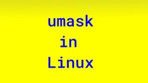 Read more about the article umask in Linux