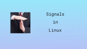 Read more about the article Signals in Linux