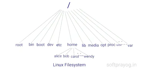Read more about the article Files in Linux