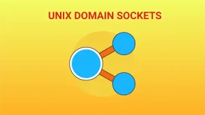 Read more about the article Interprocess Communication using Unix Domain Sockets
